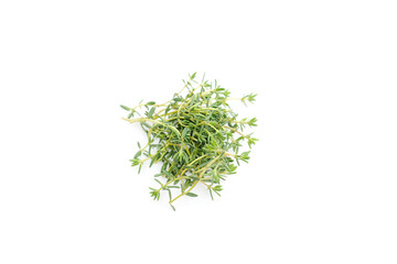 Thyme fresh isolated on white background.