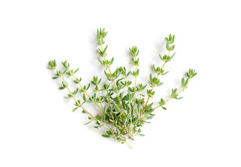 Thyme fresh isolated on white background.