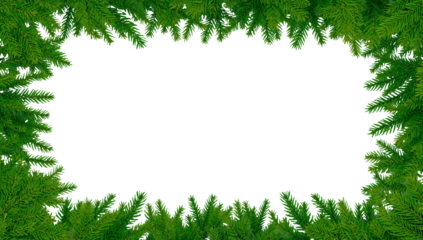 Evergreen branches creating a festive frame on transparent background for overlays and designs