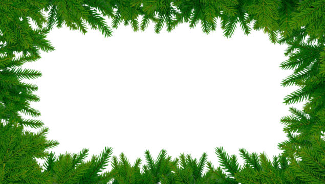 Evergreen branches creating a festive frame on transparent background for overlays and designs