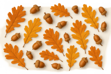 Oak leaves and acorns creating an autumn pattern, fall season background with natural elements