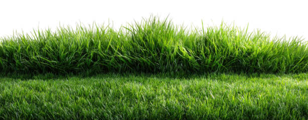 Lush green grass turf, two-tiered