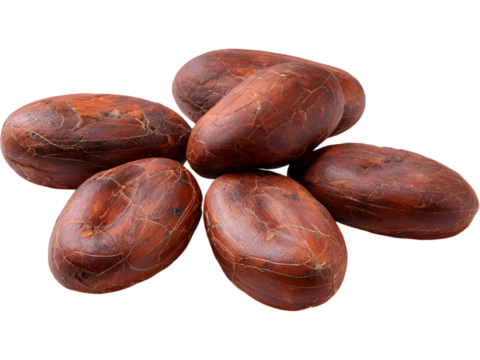 Set of brown cocoa beans isolated on transparent background, ideal for food or chocolate-themed compositions.