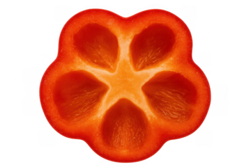 Red bell pepper cross section showing star shape, healthy vegetable, fresh ingredient on transparent background