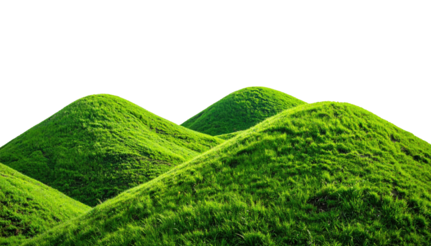 Verdant grassy hills against stark black backdrop