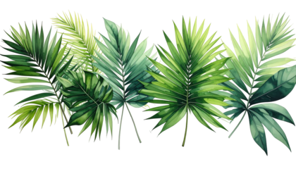 Green watercolor palm leaves artfully arranged