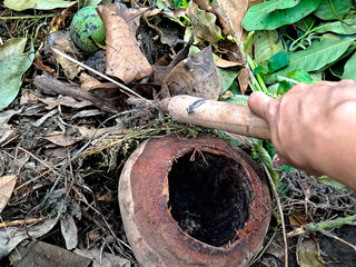 A hand holding a wooden stick amongst fallen leaves, near a hollowed-out coconut shell outdoors.