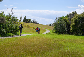 Three people hiking the Coastal track in Waiheke Island. Hauraki Gulf. New Zealand.