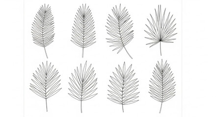Fototapeta premium Palm Leaf Line Art Sheet, Minimalist Botanical Drawing, Elegant One Line Nature Illustration