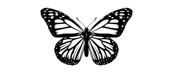 a black and white silhouette of a butterflybeautiful, black, butterfly, white, wing 
