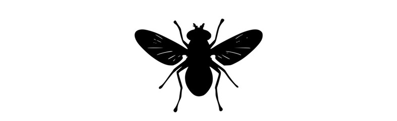 a black silhouette of a fly on a transparent backgroundant, black, bug, insect, profile, white, wing 