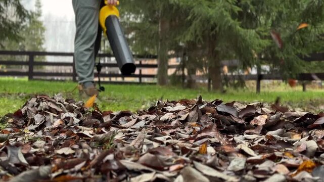 Cordless Leaf Blowers. handheld, cordless, electric leaf blower in a garden, selective focus. Autumn, fall gardening works in a backyard, on a lawn, grass. Garden works.