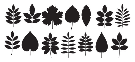 collection of sixteen black silhouettes of various leaf 