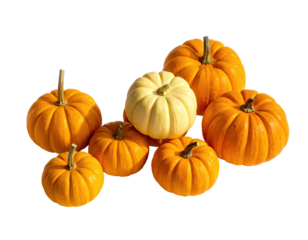 Pumpkins Orange, white, miniature gourds, close-up view