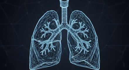 Human Lungs medical organ. low poly wireframe theme concept 51709956 1