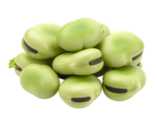 Pile of fresh, green fava beans against dark background