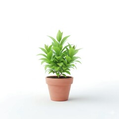 Obraz premium Vibrant Young Green Plant or Sapling in Terracotta Pot, Isolated on Clean White Background