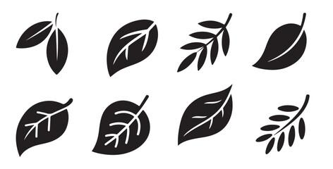 Fototapeta premium eight black and white traced leaf illustrations set simple