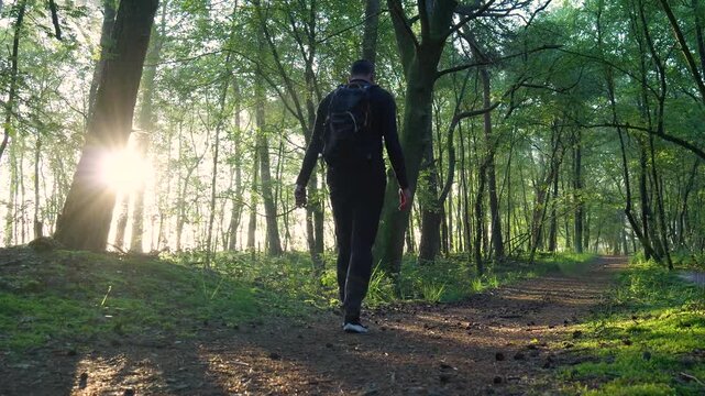 In Veluwe's serene forest, a man walks leisurely down a sun-dappled path. Early light filters through lush green trees, casting gentle shadows. A peaceful, nature-filled scene.