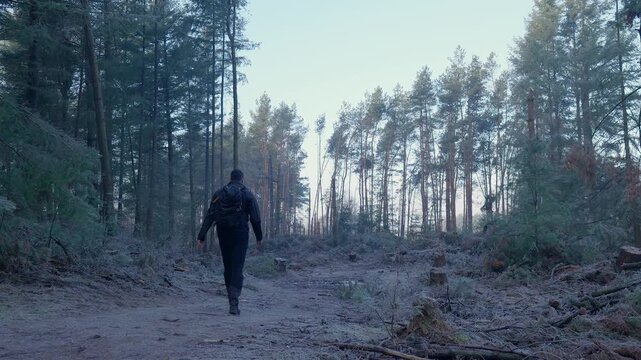 A solitary man walks down a cold, frosty path through the dense, serene woods of Veluwe, Netherlands. The early morning light casts a soft glow amid tall, shadowy trees.
