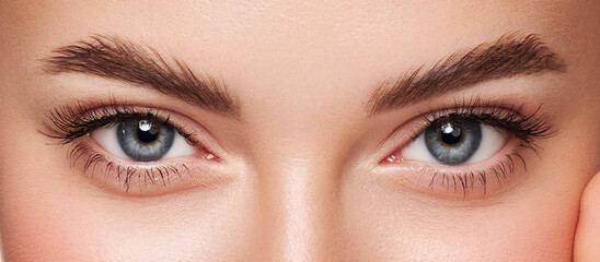 Beautiful female eyes with long eyelashes. Eyelash extensions. Makeup, cosmetics, beauty. Close up,...
