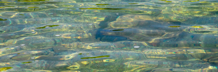 Rippling emerald waters dance under sunlight, evoking reflections of Midsummer's Eve and the elusive allure of aquatic labyrinths