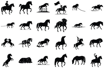 Fototapeta premium Diverse Horse Silhouettes and Equestrian Scenes rider