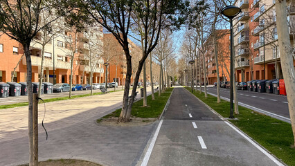 Urban boulevard whispers quiet Sunday, cycling path under patchwork shadows, invoking Car-Free Day serenity and urban renewal vibrancy