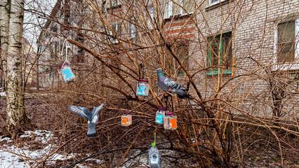 Frosty urban garden adorned with whimsical DIY bird feeders teeming with pigeons, celebrating quirky sustainability and Earth Day