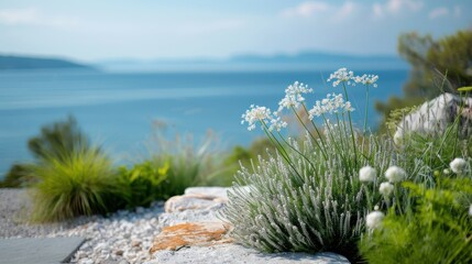 Coastal garden with thriving dill plants and serene sea view.