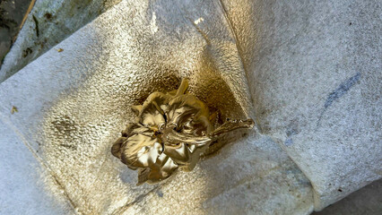 Golden thistle cradled in textured silver paper whispers of metal leaf artistry and autumnal folk celebrations
