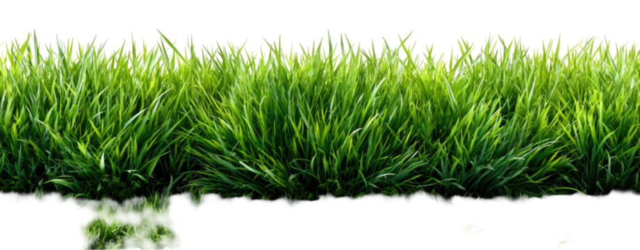 Lush, vivid green grass against a stark black background - Powered by Adobe