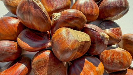 Sunlit chestnuts glisten like rustic gems, perfect for autumnal festivals, Samhain celebration, and cozy fireplace gatherings