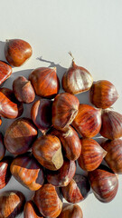 Glossy chestnuts basking in sunlight, evoking autumnal coziness, Samhain traditions, and rustic harvest festivity charm
