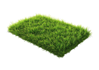 Lush green grass patch, rectangle shape, isolated