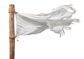 Tattered white flag on wooden pole, windblown, distressed