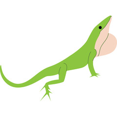 Naklejka premium Green Anole Lizard Displaying Pink Dewlap On Transparent Background