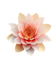 Detailed, symmetrical, peach, & pink flower on a black background