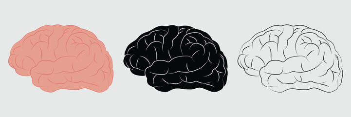 Human brain vector, symbol. Human brain icon vector. Mind sign, thinking, idea icon. Human brain design for logo, medical science, app, UI, UX. Vector illustration.