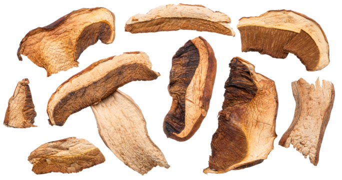 Dried porcini mushrooms  isolated on white background. Clipping path.