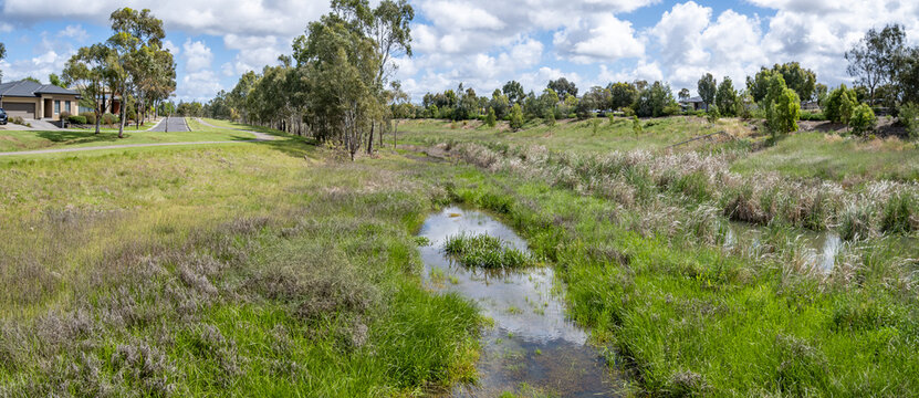 Panoramic view of a natural wetland and shallow Skeleton Creek running through a suburban Melbourne reserve. an Australian urban waterway and riparian habitat integrated into modern suburban planning.