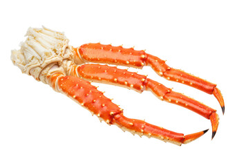Isolated Alaskan king crab legs ready to eat for delicious seafood recipe meal prep cooking © Maria