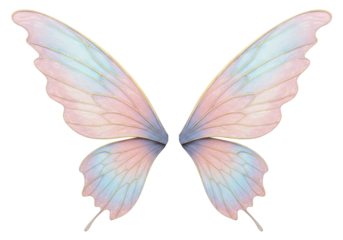 Isolated fairy wings with iridescent colors, magical, elegant and enchanting fantasy element