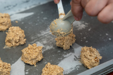Bake Oatmeal Cookies