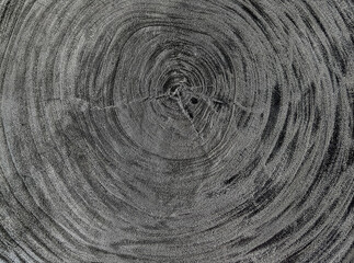 Cernes de bois brûlé 