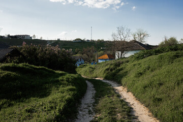 Serene Rural Landscape With Dirt