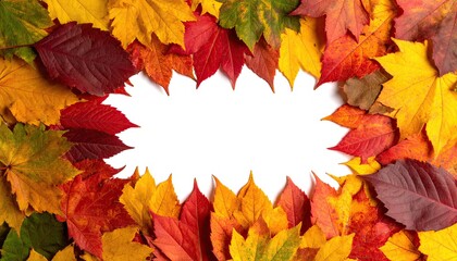Colorful autumn leaves frame a white center