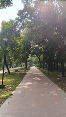 path in the park