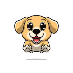 Cute labrador retriever dog jumping, front view