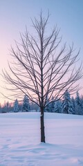 Bare winter tree standing starkly against a snow-covered landscape,  landscape, nature